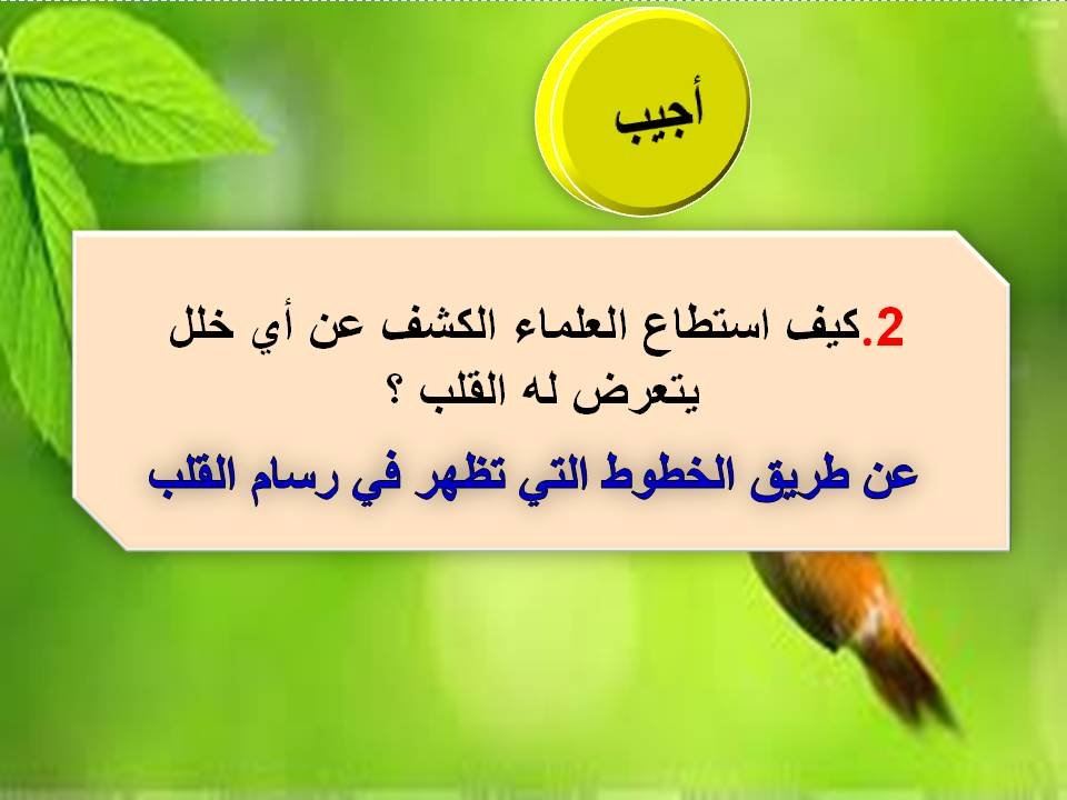  القرائي ثاني متوسط المصدر السعودي ف2