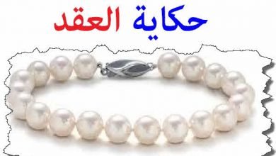 العقد | Education Ksa الموقع التعليمي  العقد